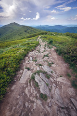 Obraz premium Wetlina hiking trail and Smerek mountain in Bieszczady National Park, Subcarpathian Voivodeship of Poland