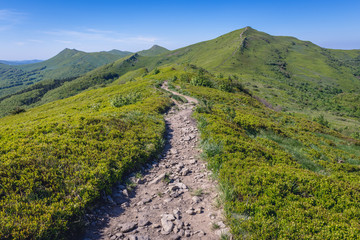 Fototapeta na wymiar Hking path to mount Halicz in Bieszczady National Park, Subcarpathian Voivodeship of Poland