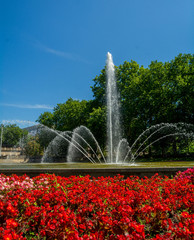 A large beautiful fountain in the historic center of Poznan. Surrounded by a variety of flower beds.