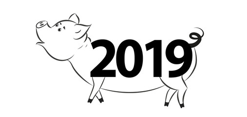 Сute funny pig-a symbol of the new 2019.
