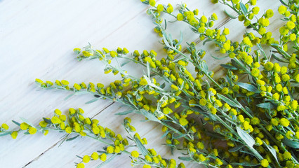 Beautiful blooming wormwood on wooden background.