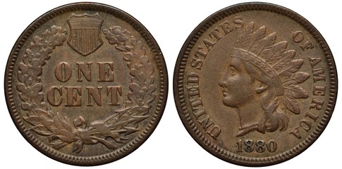 United States coin 1 one cent 1880, value flanked by oak branches, striped shield above, laurel...