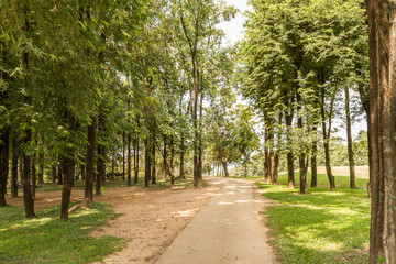 forest park