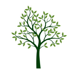 Fototapeta premium Zielone drzewo wiosny. Ilustracji wektorowych.
