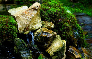 forest spring on the stones. Natural background with a stream water over the stones