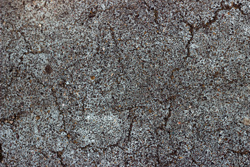 Grey Asphalt with cracks 