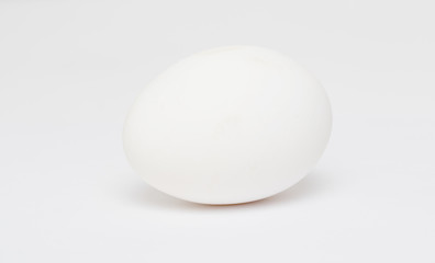 egg on white background