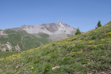 Montagne rocheuse du Queyras 
