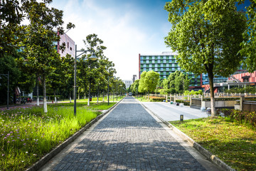 House on green field with poppy flowers © evening_tao