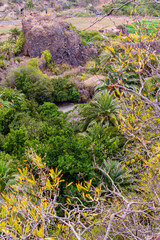 Historic botanical garden