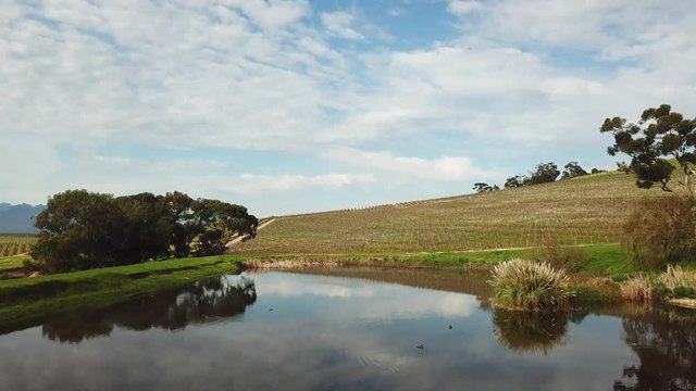 Drone shot of Dam with Vineyards in background in South Africa
