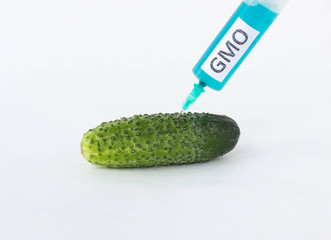 Cucumber on a white background in which the syringe gmo and nitrates are pricked, close-up,...