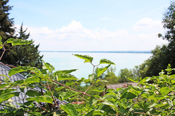 Hungary Balaton Tihany european lake 2018 Hungarian summer