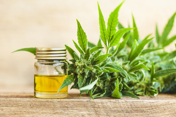CBD oil hemp products medical cannabis