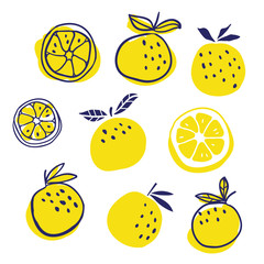 Set of stylish oranges fruits vector illustration