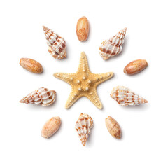 Pattern in the form of a circle of sea shells and starfish isolated on a white background.