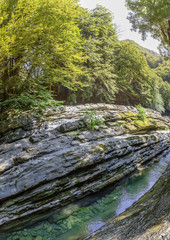 Sochi National Park. Rocky gorge of the river Dagomys.