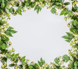 Twined hops vine frame on white background, top view