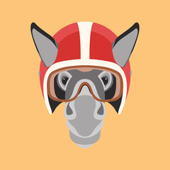 donkey in  helmet  face head vector illustration flat style 