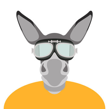 donkey in glasses face head vector illustration flat style 