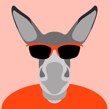 donkey in glasses face head vector illustration flat style