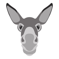 Fototapeta na wymiar donkey face head vector illustration flat style front 