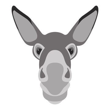 donkey face head vector illustration flat style front 