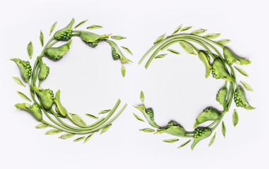Decorative botanical flower double wreath frames made of green different flowers and leaves, flat lay, top view on white background
