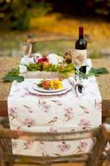 Romantic dinner in the autumn garden, table setting for a nice dinner. Wine, fruit, pomegranate and flowers. Picnic in the open air