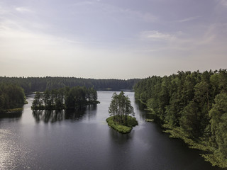 Aerial view near forest lake, Estonia, Viitna