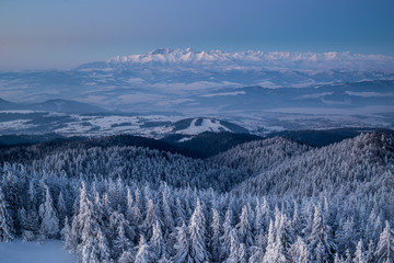 Fototapeta na wymiar Zimowa panorama tatr z gorców