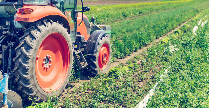 Traktor auf Acker, Landwirtschaft, blauer Himmel