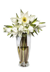 Bouquet of white water lilies in a glass vase on a white background isolated