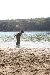 Im Wasser springender Hund