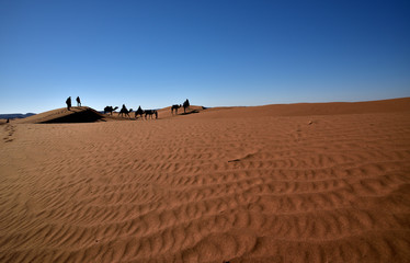 Eine Karawane durch die Wüste