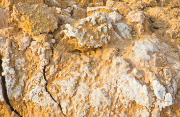 Salt stains on soil surface