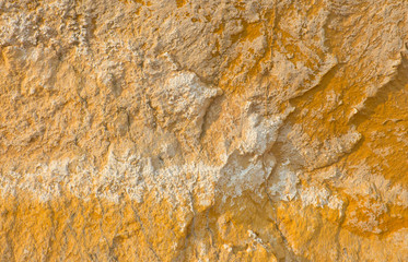 Salt stains on soil surface