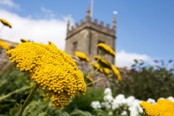 Coughton Court Church © howardm993