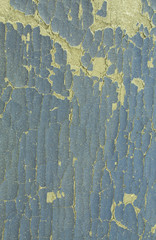 Leather cover of old book