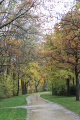 autumn in the english garden, munich germany