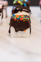 Fototapeta na wymiar Confetti Candy and Chocolate Dipped Marshmallow Cube
