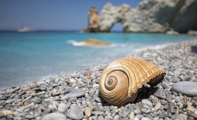 Wunderschöner Lalaria Beach mit einem Muschel im Vordergrund