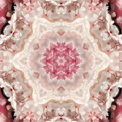 Pink peony flowers in the form of a picture of a kaleidoscope