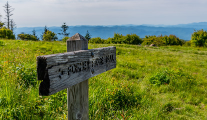 Forney Ridge Sign on Andrews Bald