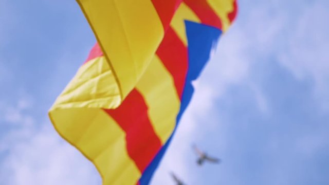 Catalonian flag waving in the wind. Two pigeons fly by in the background.
