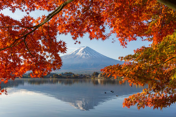 Japan Autumn Season and Fuji Mountain at beautiful sunrise and red leaves at lake Kawaguchiko,Japan. Mount Fuji is one of the best places in Japan.