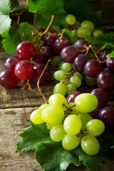 Mix grapes on vintage background. The concept of nutrition health, wine concept.