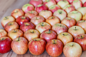 a lot of ripe red apples, autumn harvest of apples