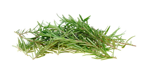 Rosemary on white background.