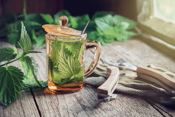 Nettle tea or infusion, nettle plants and garden pruner on wooden table in a village house. © chamillew